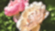 200529_WarumDarum_Pfingsten