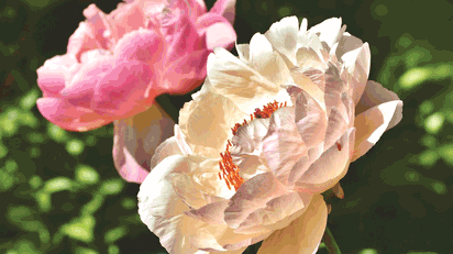 Pfingsten 2020 Welche Bedeutung Hat Der Feiertag Und Wer Hat Frei