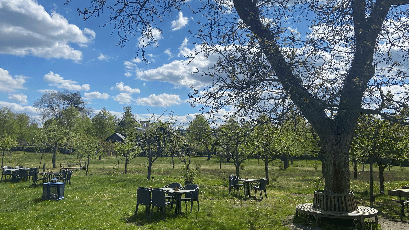 Berlin & Brandenburgs beste BRF Alexandrowka