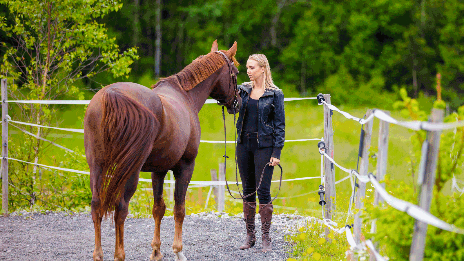 Berlin & Brandenburgs beste BRF Ausreiten Hoppegarten