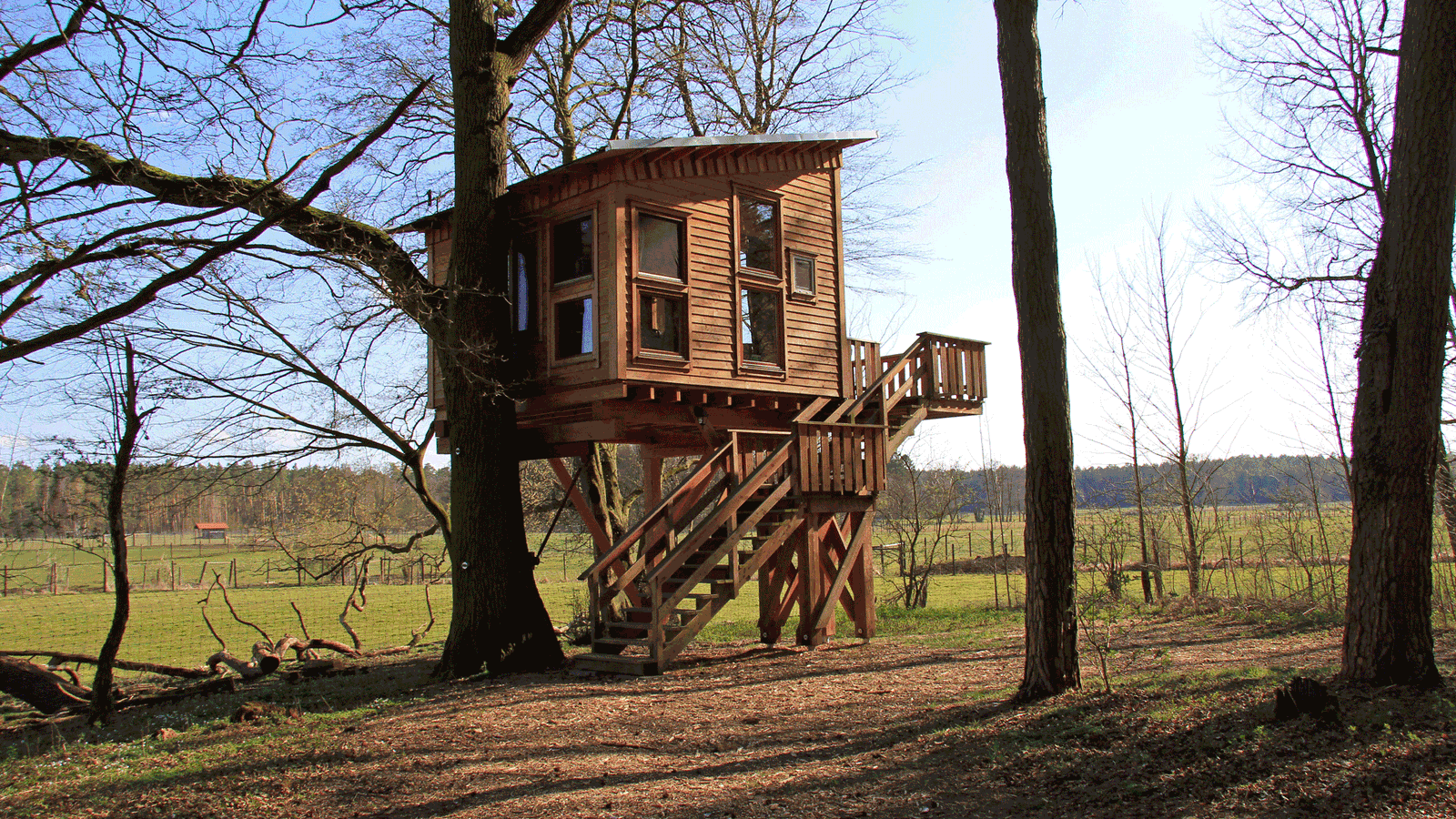 Berlin & Brandenburgs beste BRF Baumhaushotel