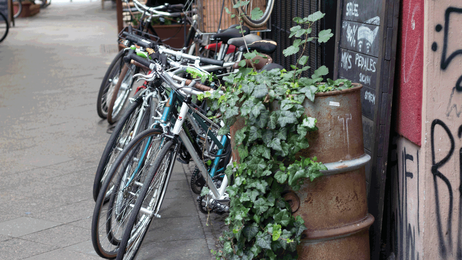 Berlin & Brandenburgs beste BRF Bike-Kitchen