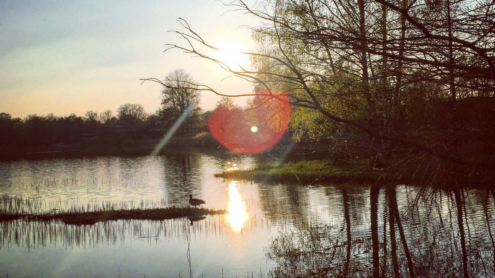 Britzer Garten Eintritt - Besucherinformationen Britzer ...