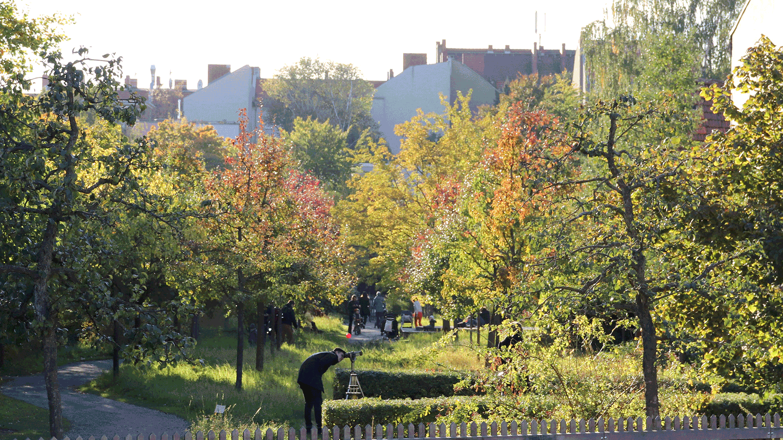 Berlin & Brandenburgs beste BRF Cormenius Garten