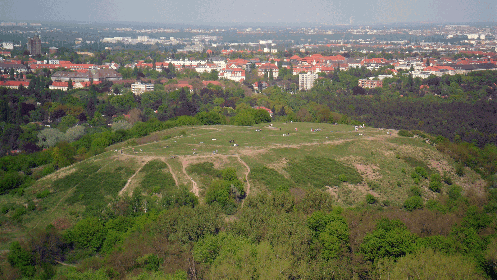 Berlin & Brandenburgs beste BRF Drachenberg