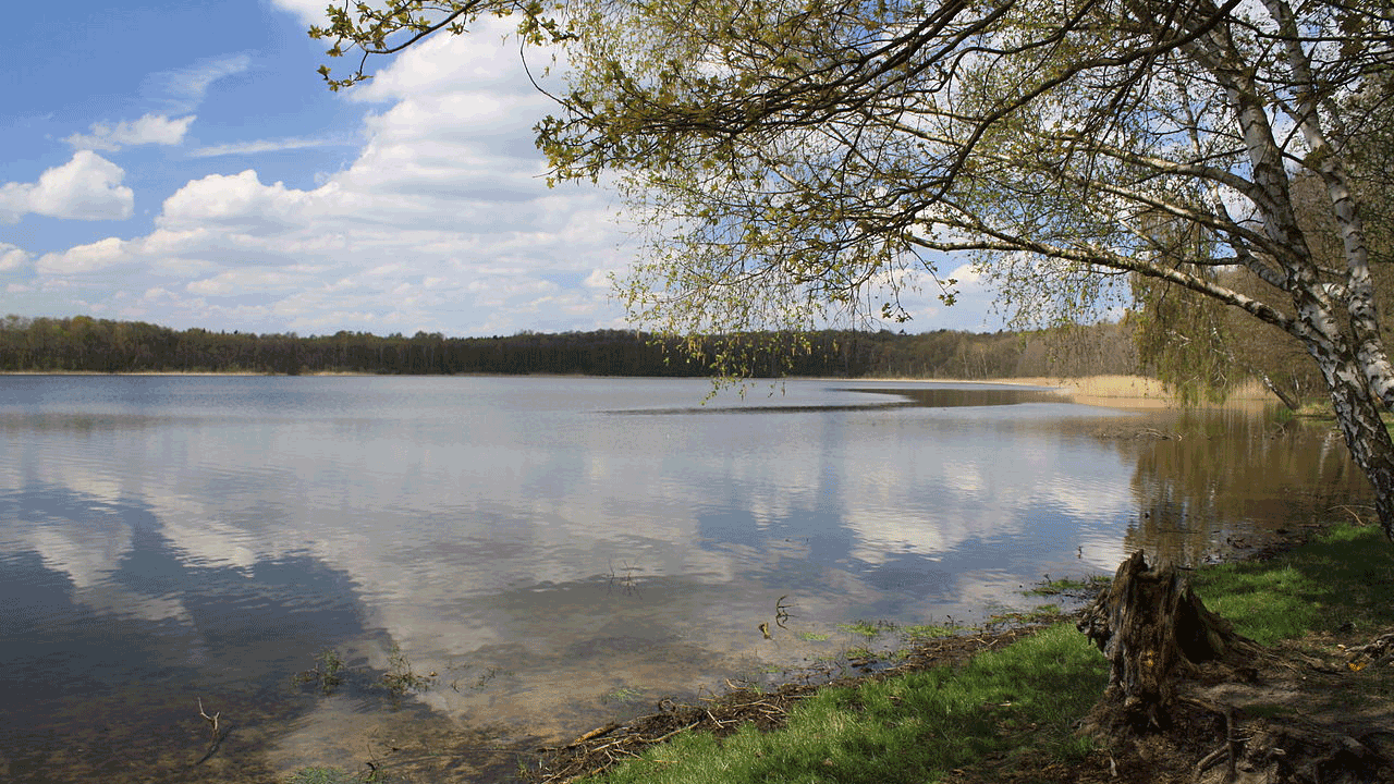 Berlin & Brandenburgs beste BRF Gorinsee