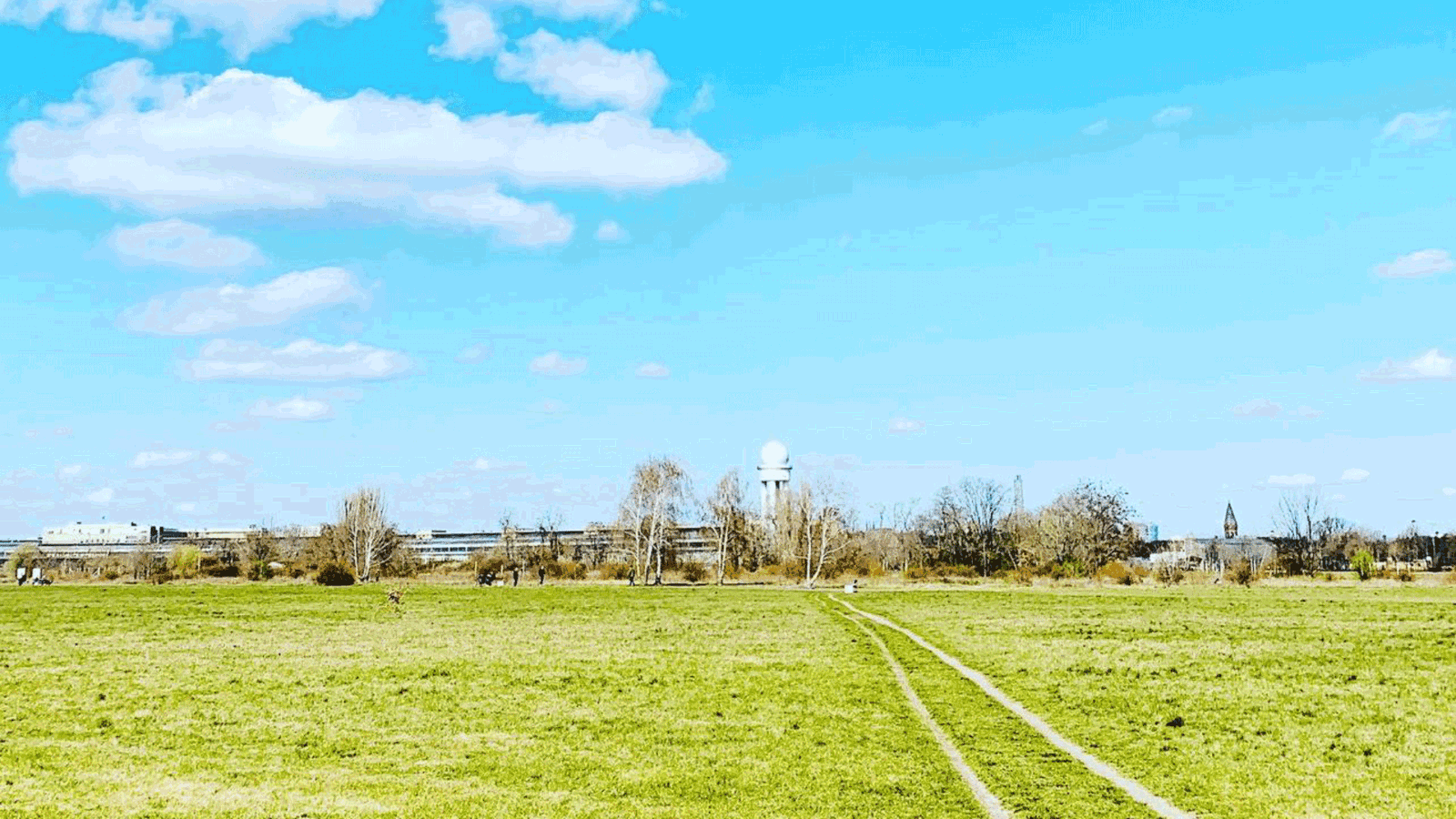 Berlin & Brandenburgs beste BRF Hundewiese