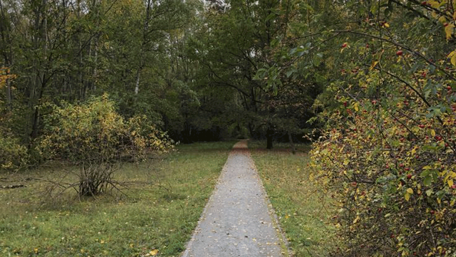 Berlin & Brandenburgs beste BRF Naturpark Suedgelaende