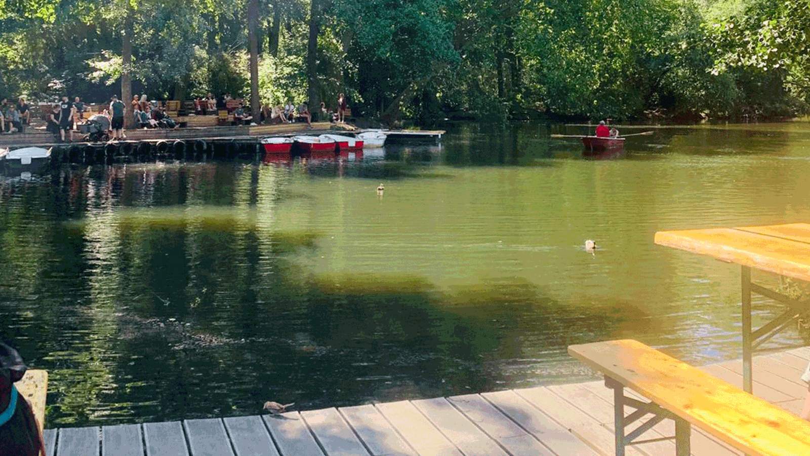 Berlin & Brandenburgs beste BRF Neuer See