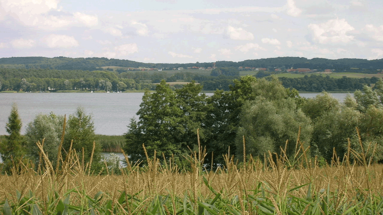 Berlin & Brandenburgs beste BRF Oberuckersee