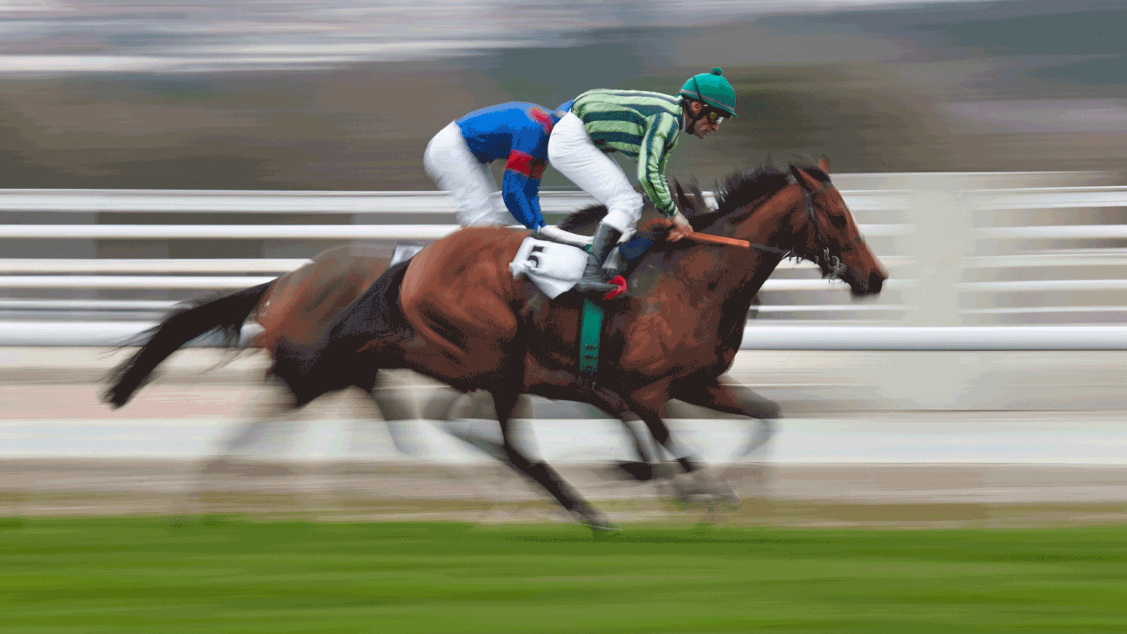 Berlin & Brandenburgs beste BRF Pferderennen