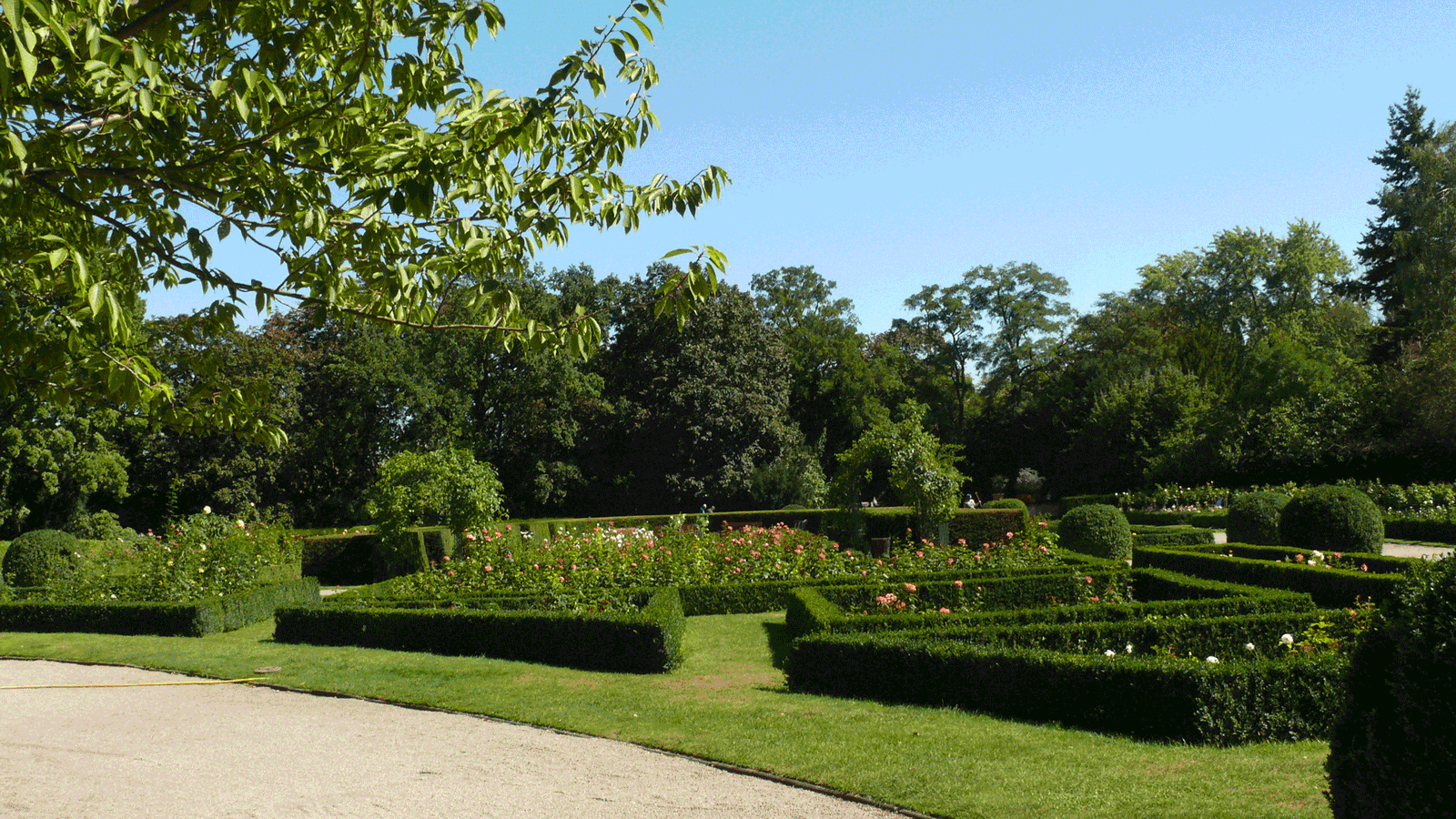 Berlin & Brandenburgs beste BRF Rosengarten