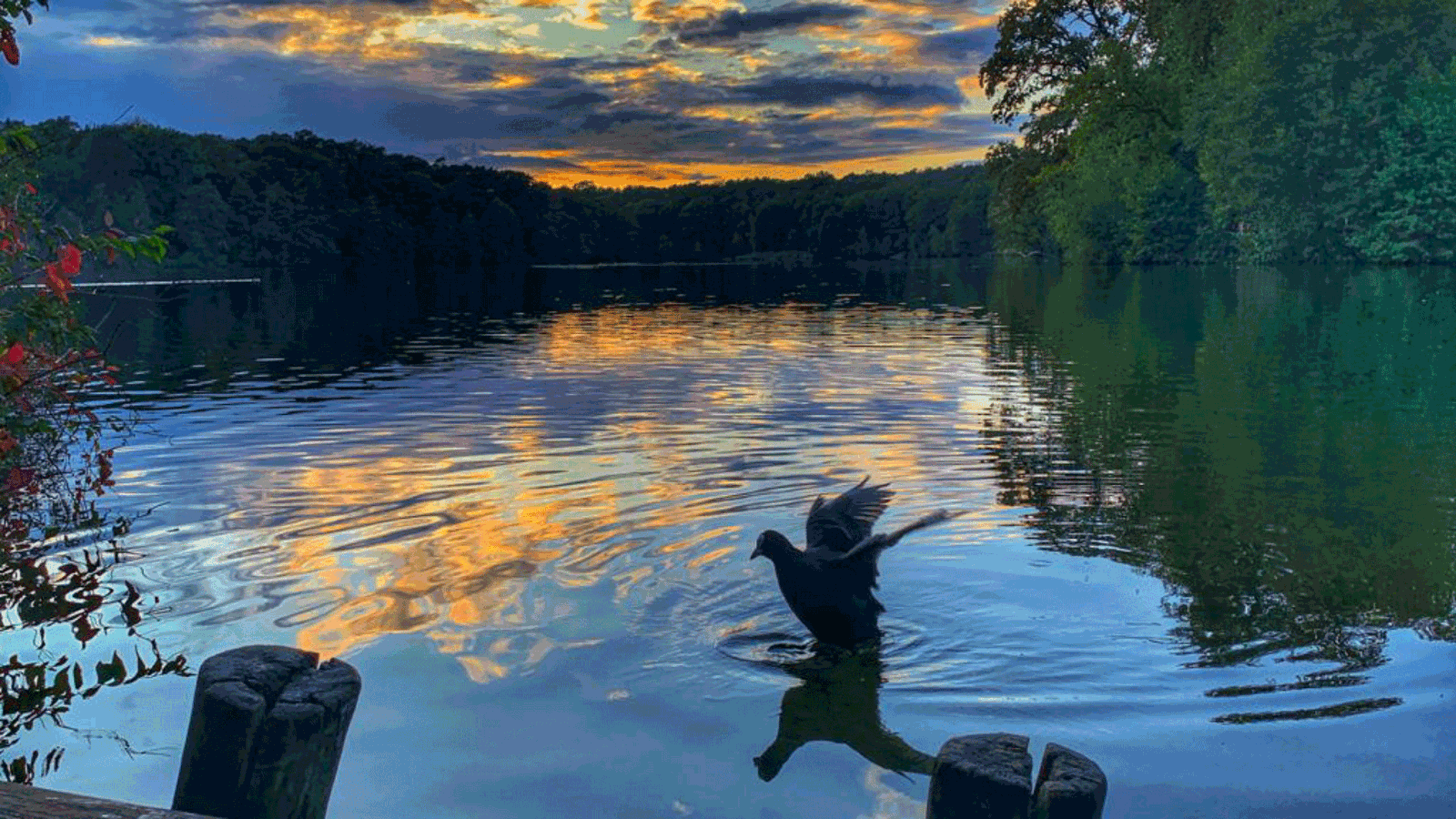 Berlin & Brandenburgs beste BRF Schlachtensee