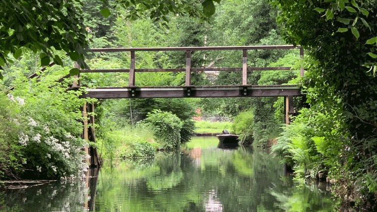 Berlin & Brandenburgs beste BRF Spreewald