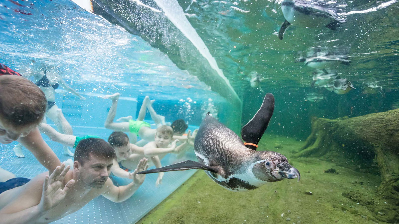 Berlin & Brandenburgs beste BRF Spreewelten