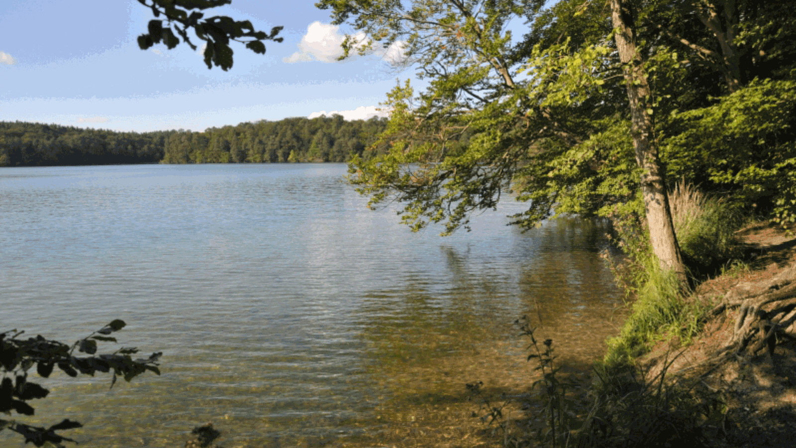 Berlin & Brandenburgs beste BRF Stechlinsee