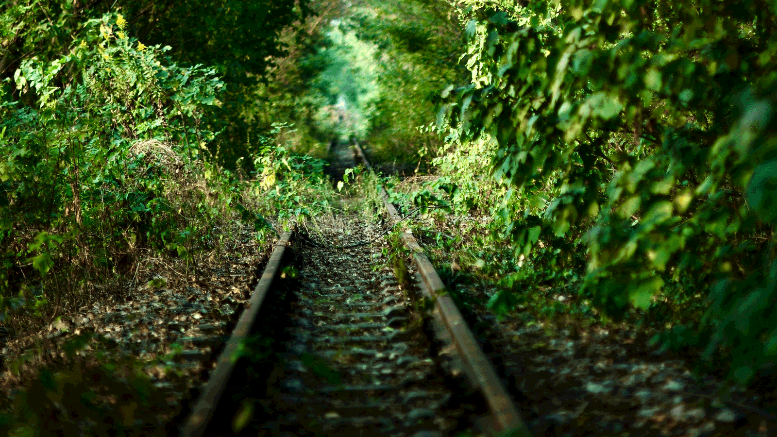 Berlin & Brandenburgs beste BRF stillgelegte Gleise