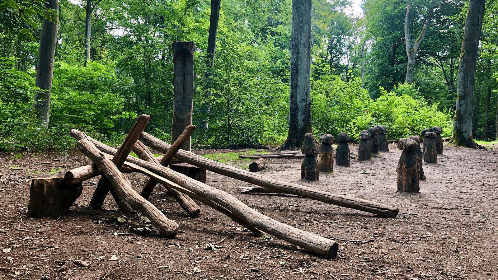 Berlin & Brandenburgs beste BRF Trimm Dich Pfad