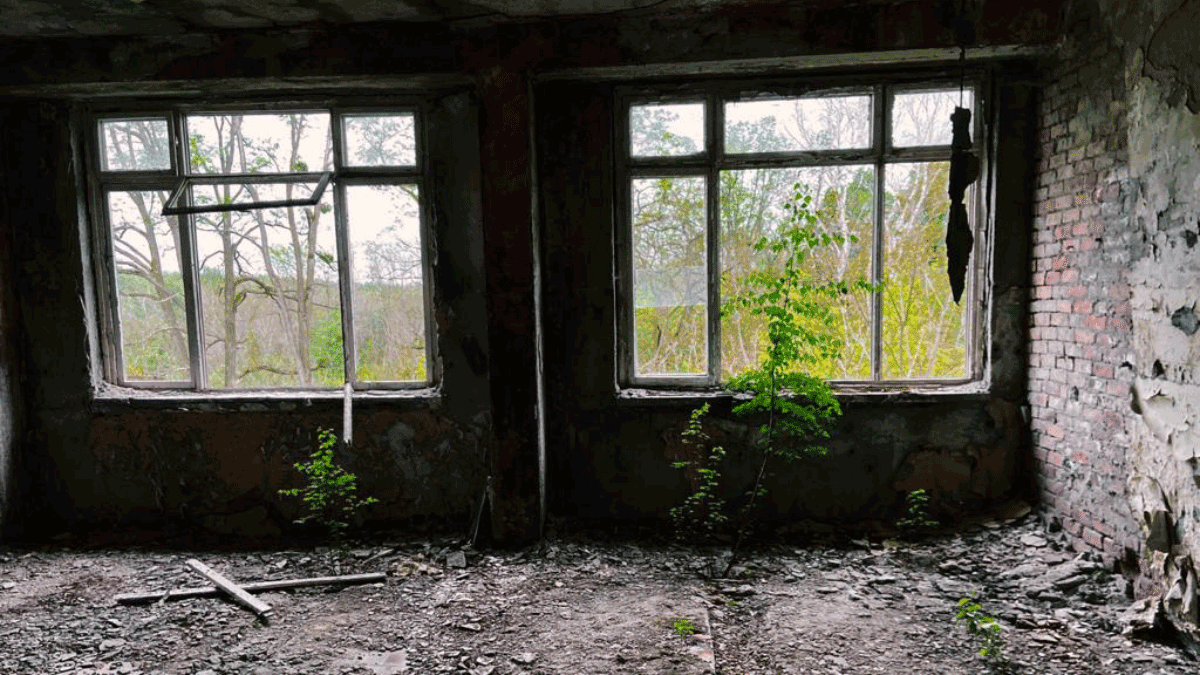 Berlin & Brandenburgs beste BRF Verbotene Stadt