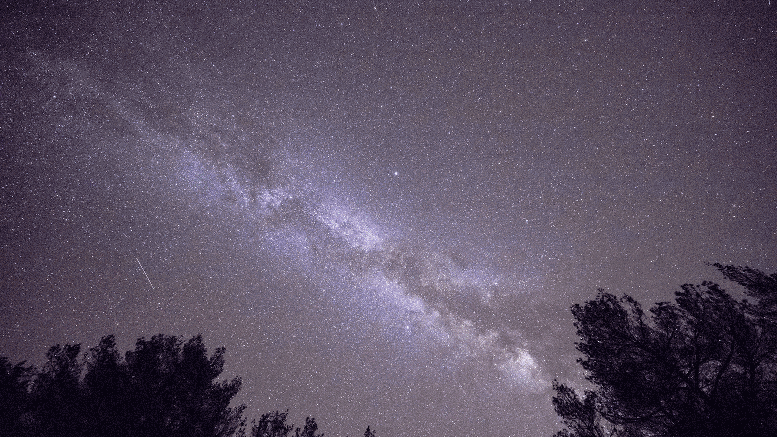 Berlin & Brandenburgs beste BRF Sternegucken in Gülpe