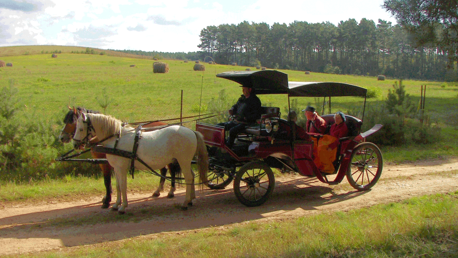 Berlin & Brandenburgs beste Kutschfahrt zwischen Zechliner See & Schloss Rheinsberg
