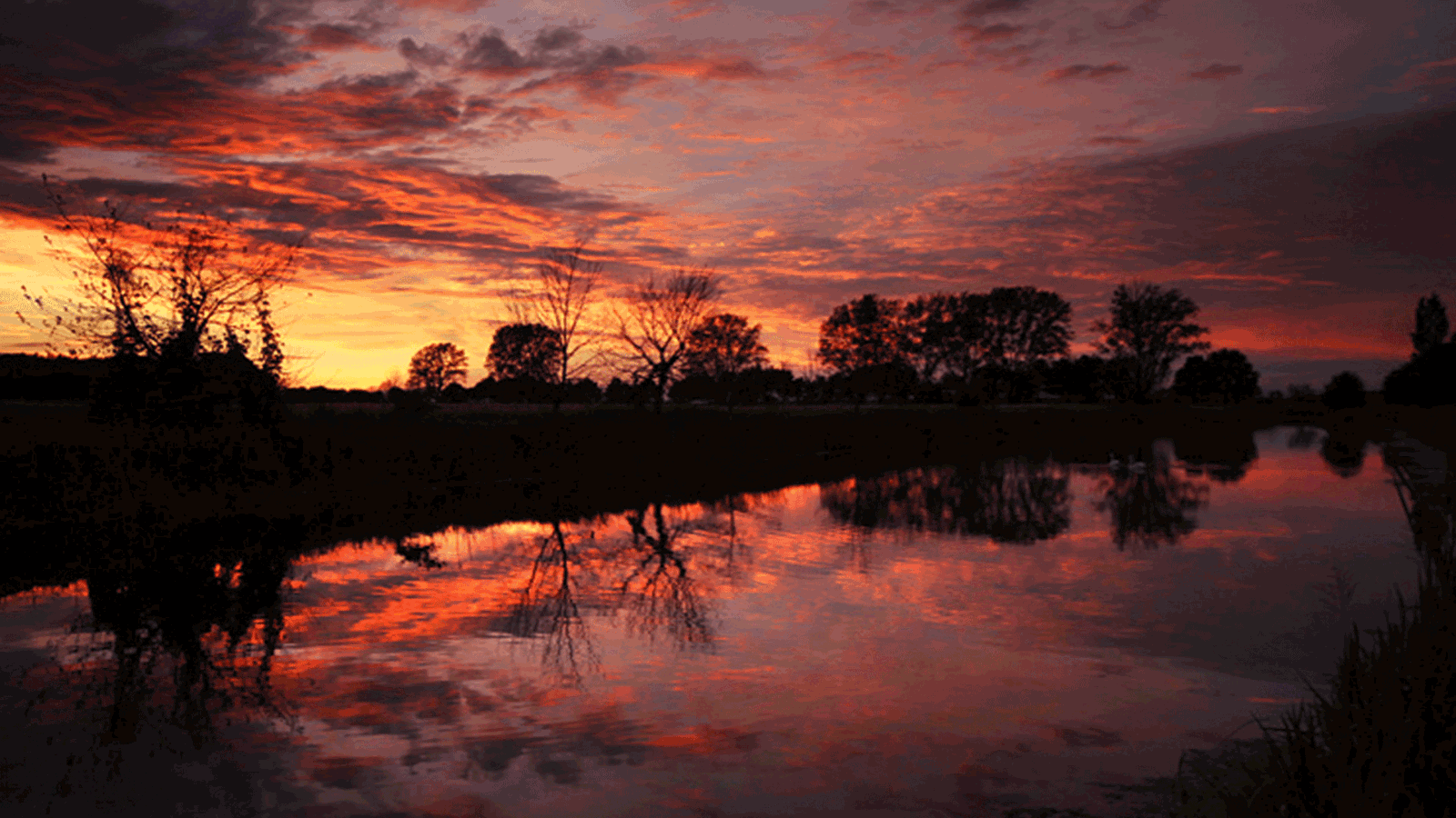 Berlin & Brandenburg beste Sonnenuntergang im Naturpark in Parey