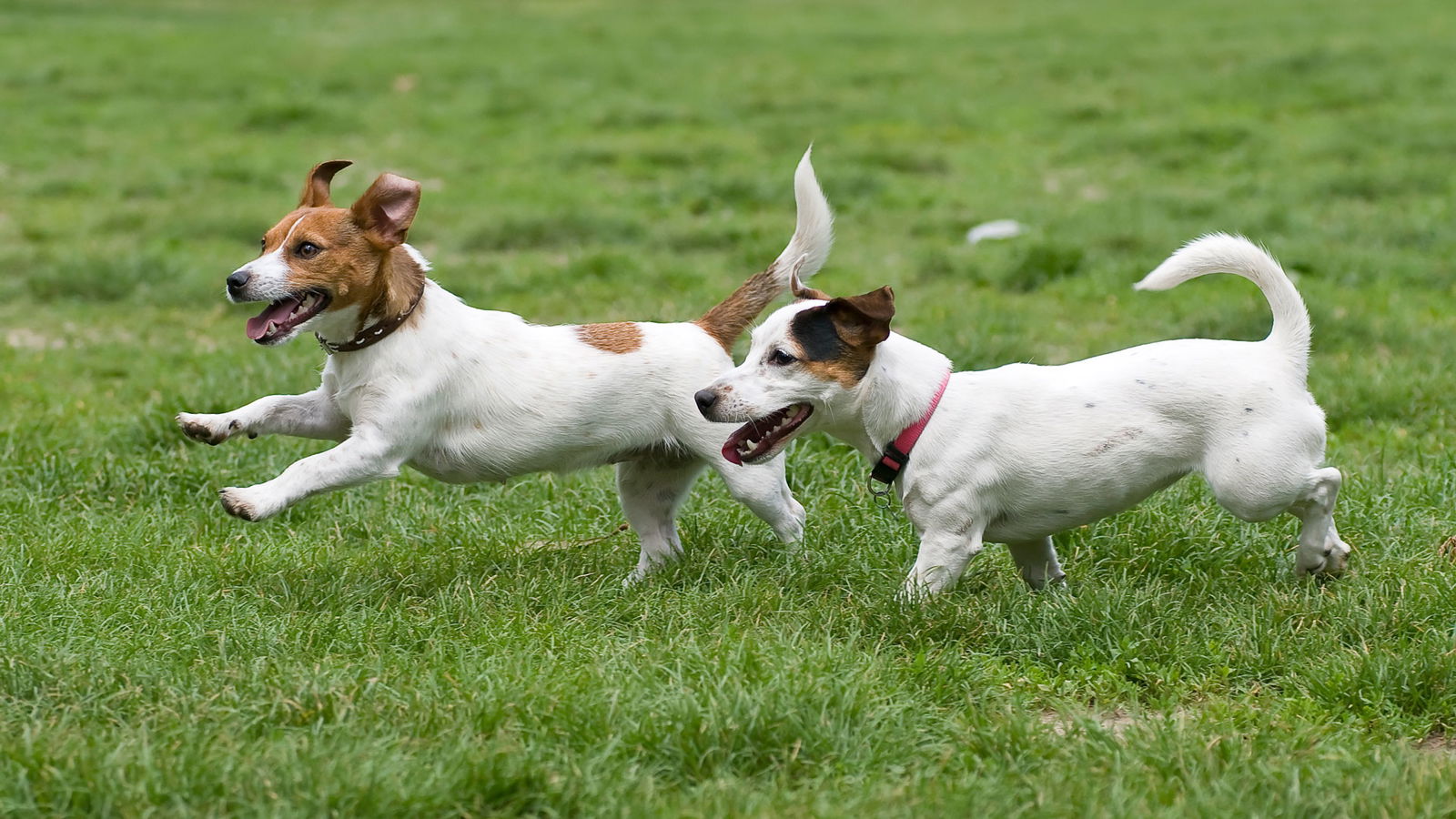 Der Moment Ihres Lebens Anne aus Lankwitz