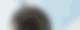 Header Empfang
