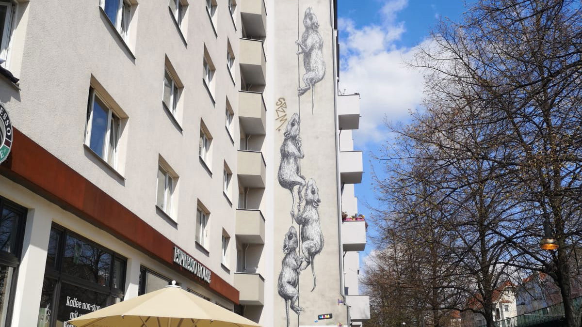 IDKOKDW Ratten Prenzlauer Berg