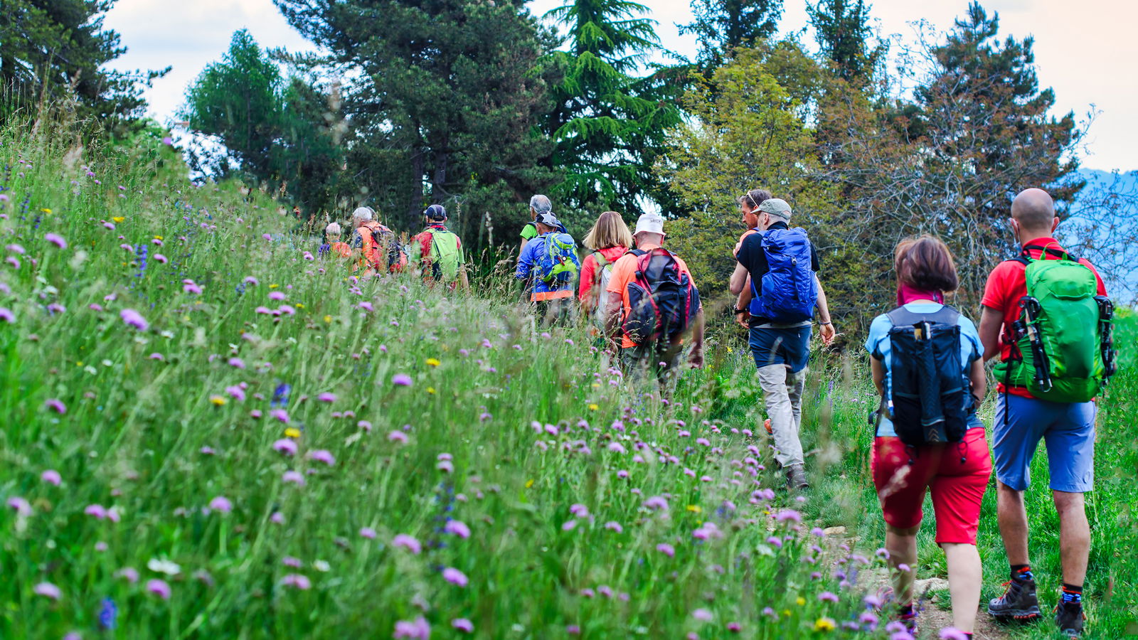 Leben in Berlin und Brandenburg-wandern-boomt