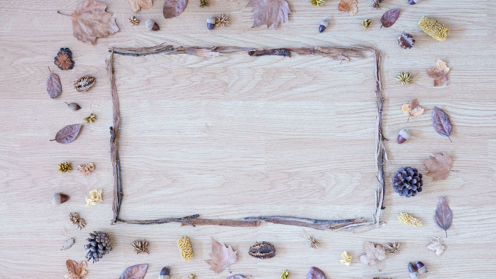 Warum Darum vierschroetig