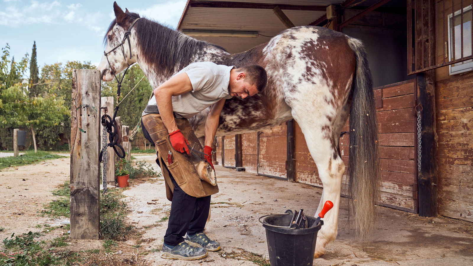 BRF_warumdarum_warumHufeisen_2022