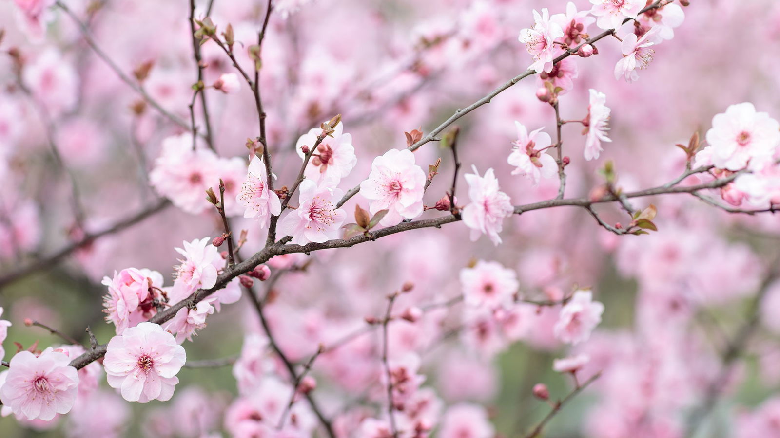 BRF_warumdarum_warumbarbara_2022