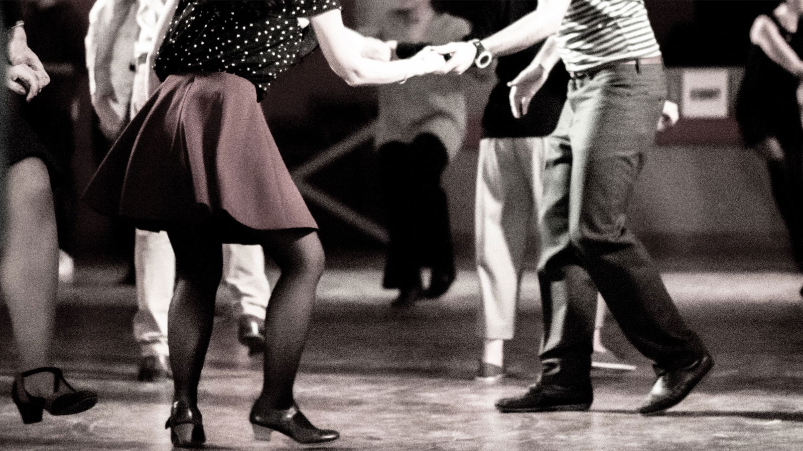 BRF_warumdarum_warumfoxtrott_2022