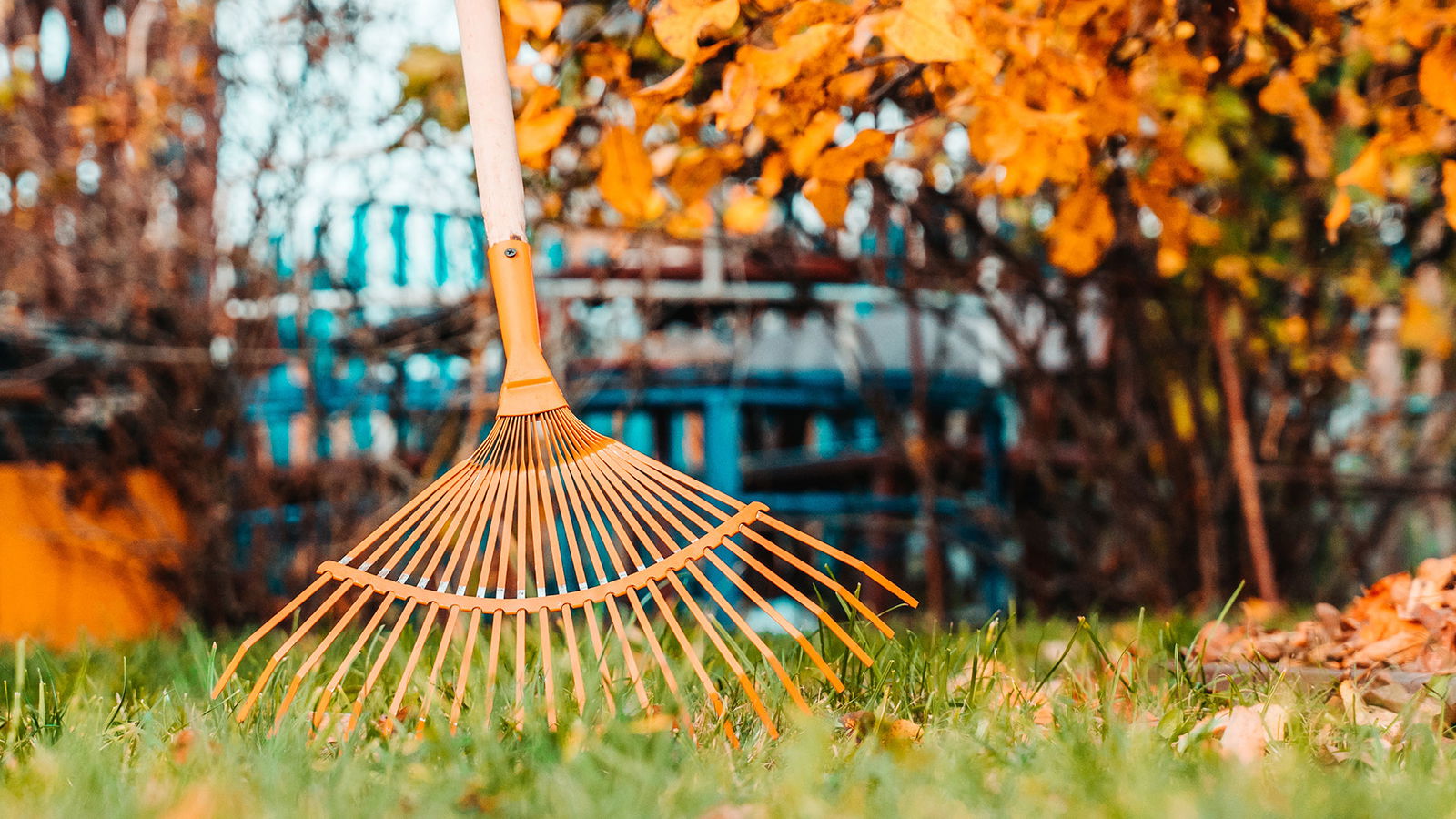 BRF_warumdarum_warumharke_2022