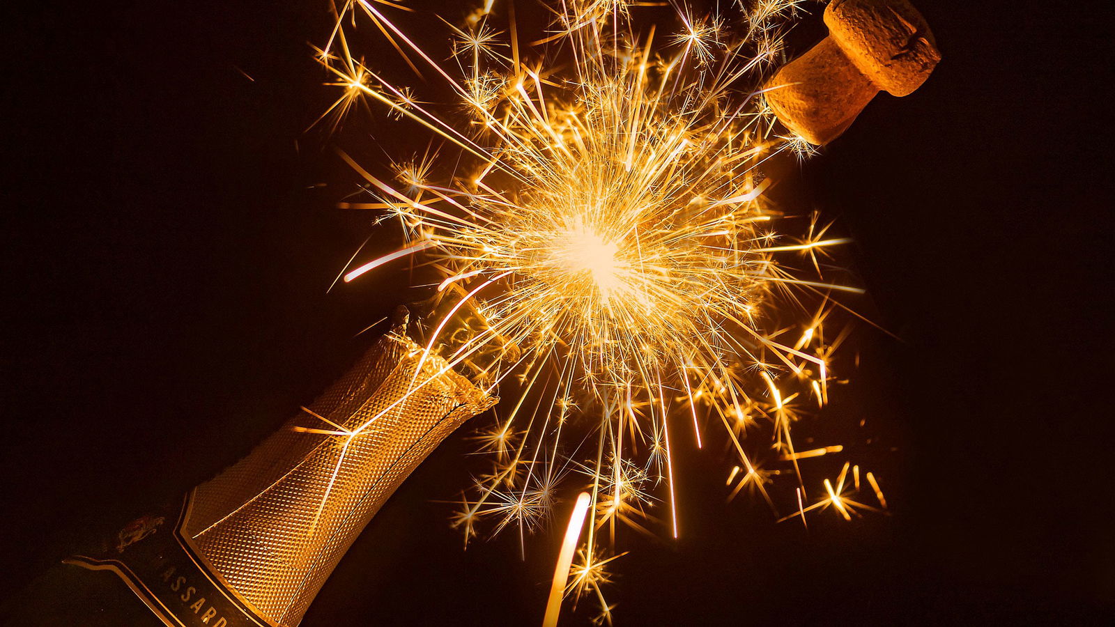 BRF_warumdarum_warumletztertag_2022