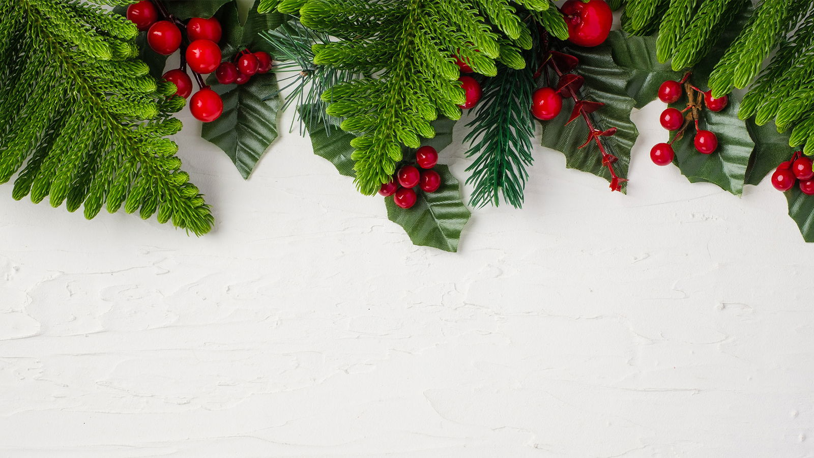 BRF_warumdarum_warummistel_2022