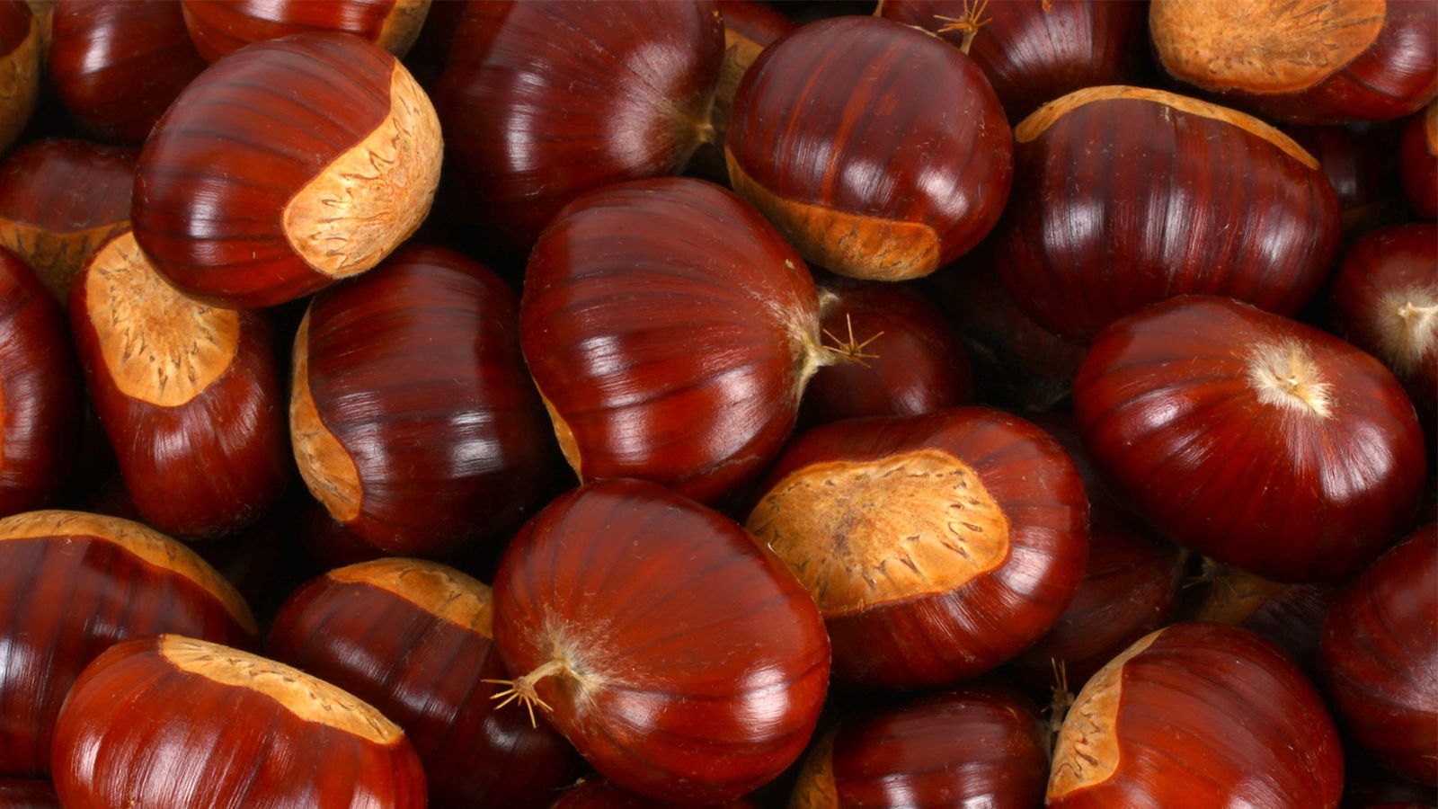 BRF_warumdarum_warumrheuma_2022