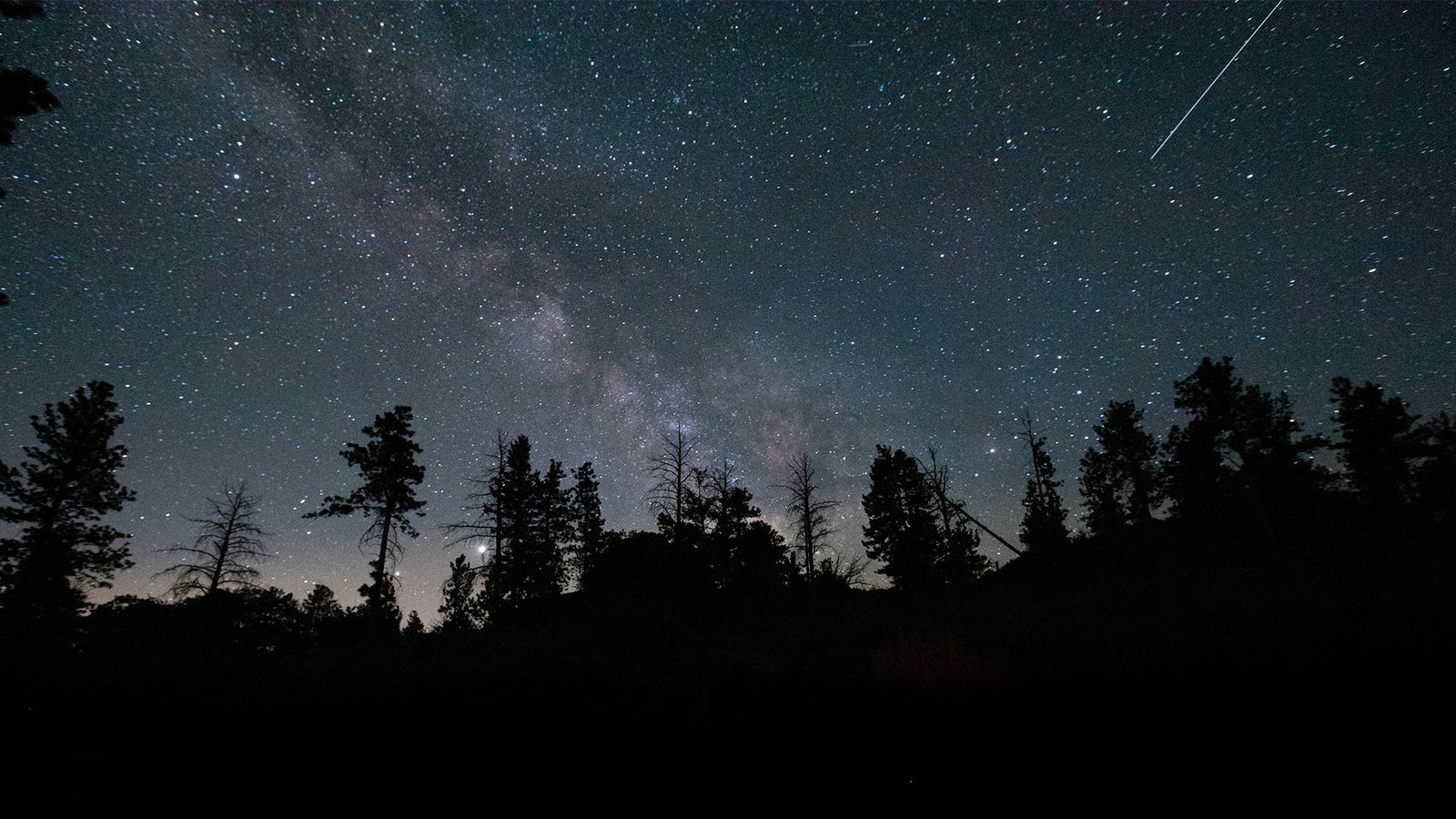 BRF_warumdarum_warumschnuppe_2022