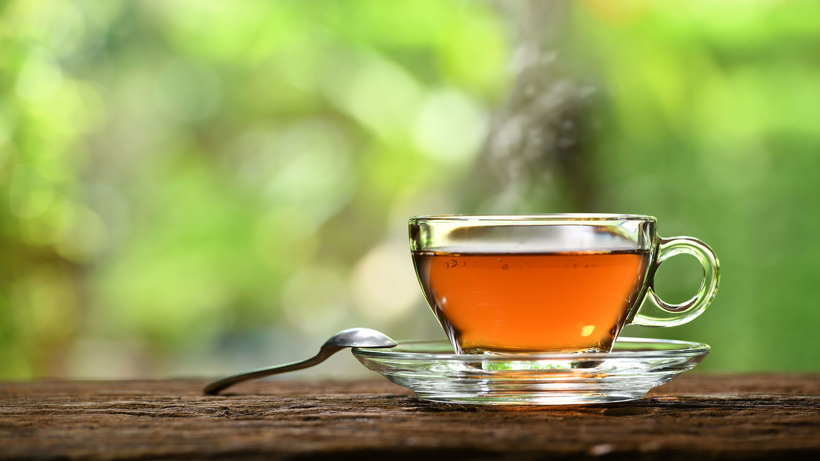 BRF_warumdarum_warumtee_2022