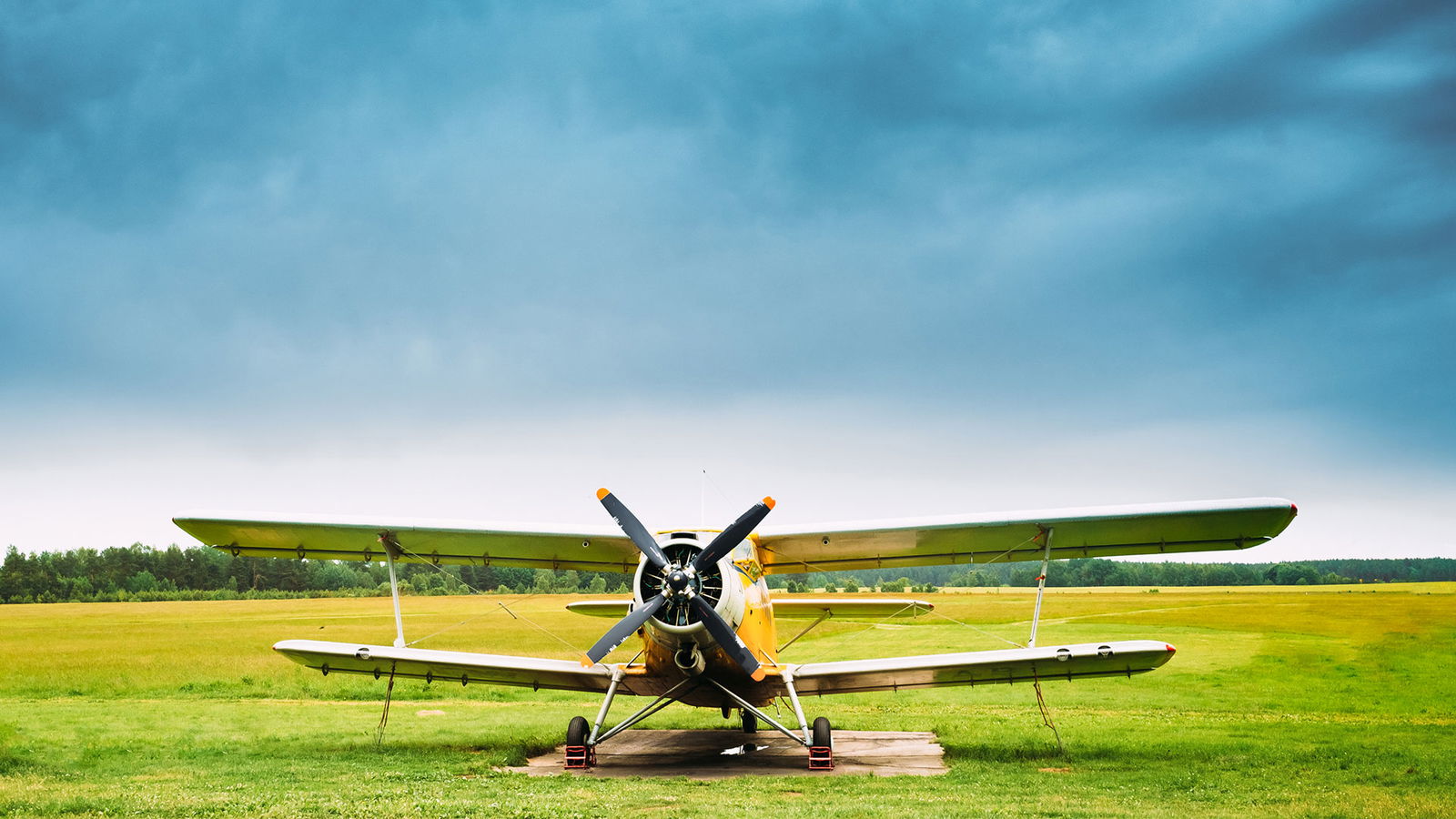 BRF_warumdarum_warumverfranzen_2022