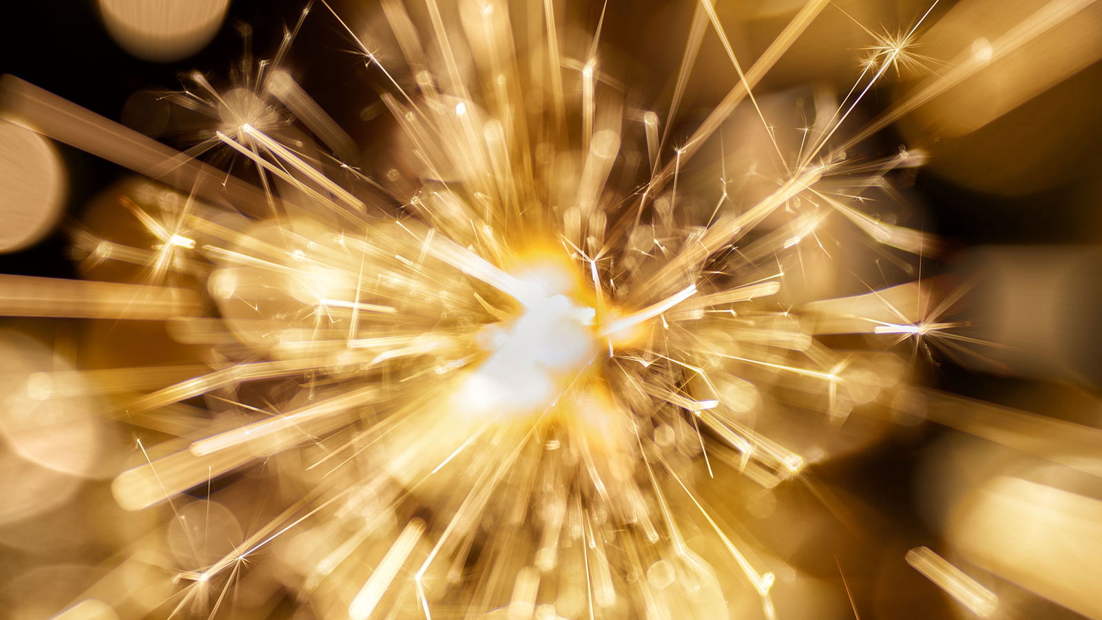 BRF_warumdarum_warumzwischen_2022