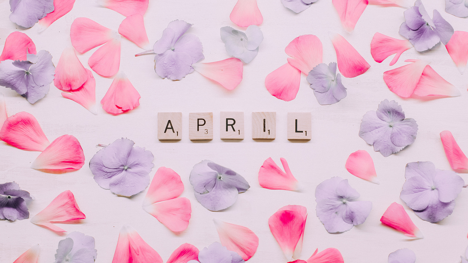 brf_warum_darum_april_2022