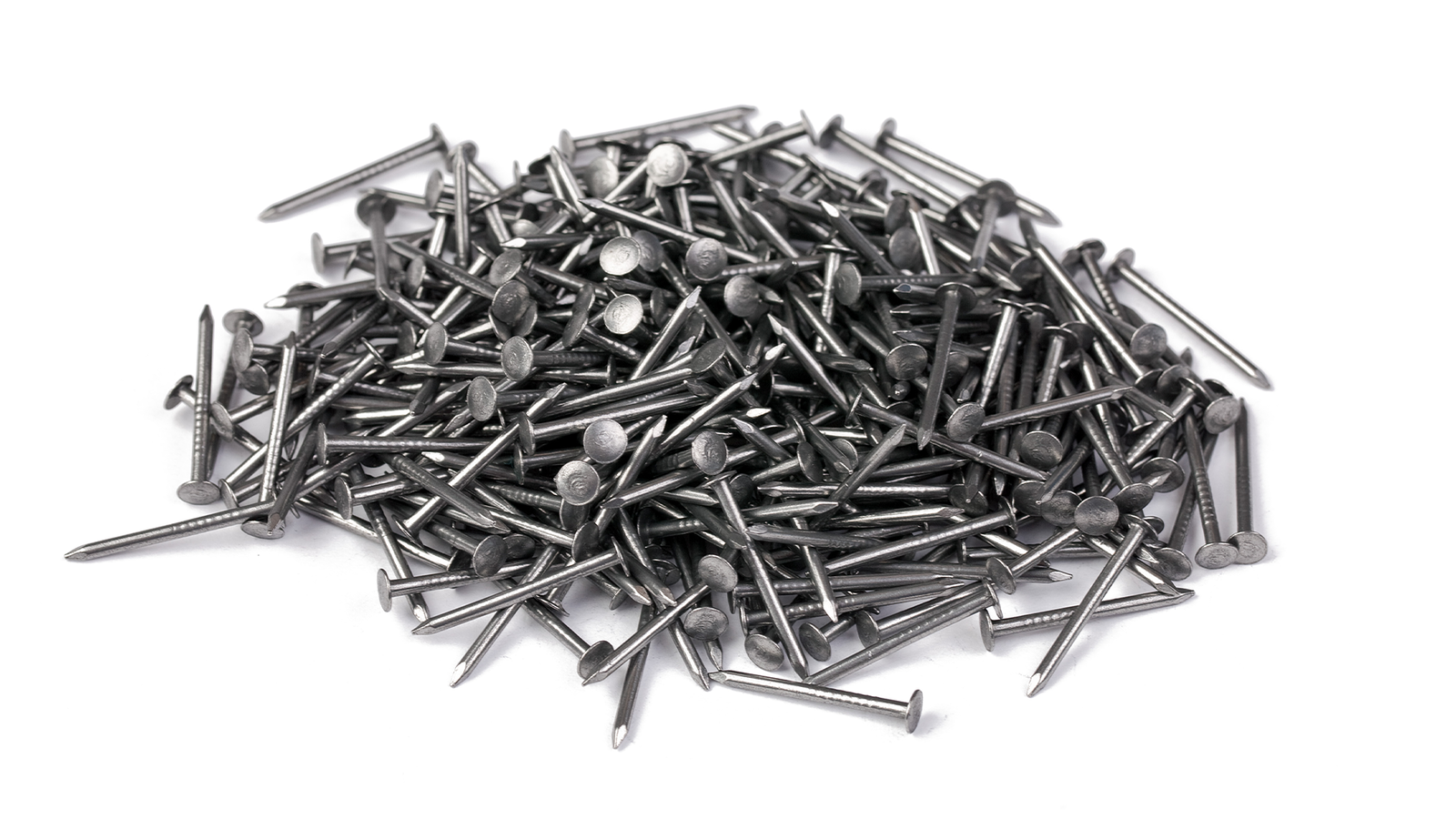 brf_warum_darum_nagelprobe_2022