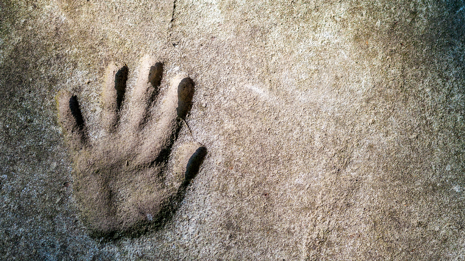 brf_warum_darum_ohrfeige_2022