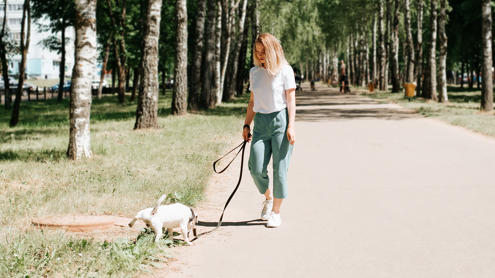 brf_warumdarum_hundpipi_2022