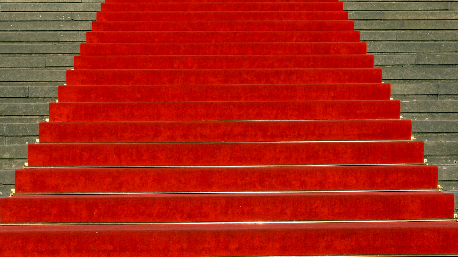 brf_warumdarum_roterteppich_2022