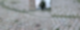 berliner-rundfunk-gulli-header