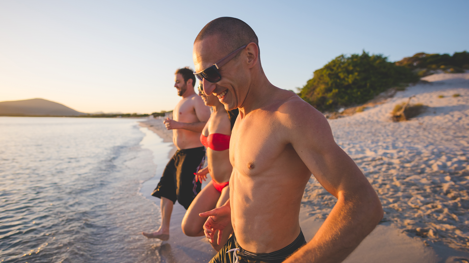 brf_warumdarum_hundstage