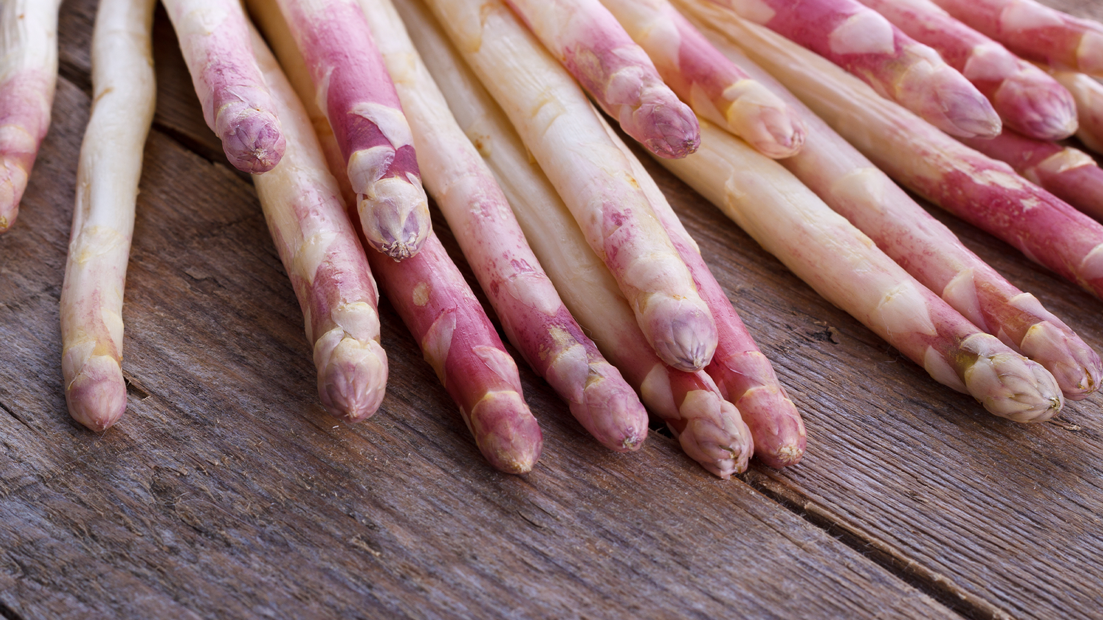 brf_warumdarum_spargel